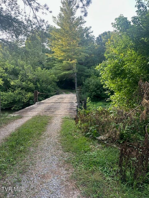 Photo #8: 223 Gun Smoke Drive