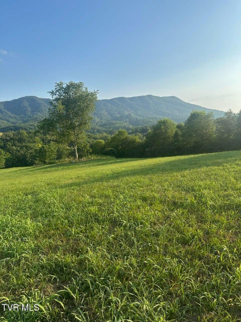 Photo #11: 223 Gun Smoke Drive