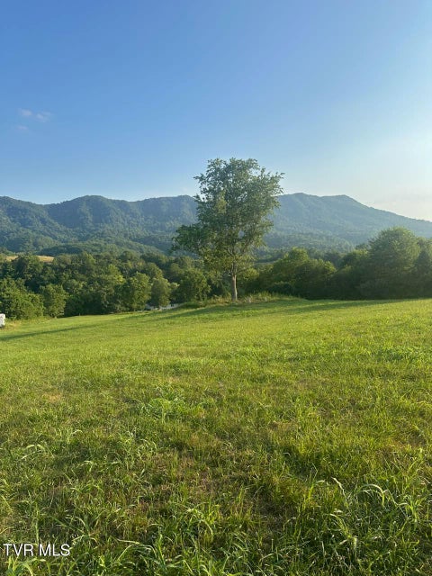 Photo #16: 223 Gun Smoke Drive