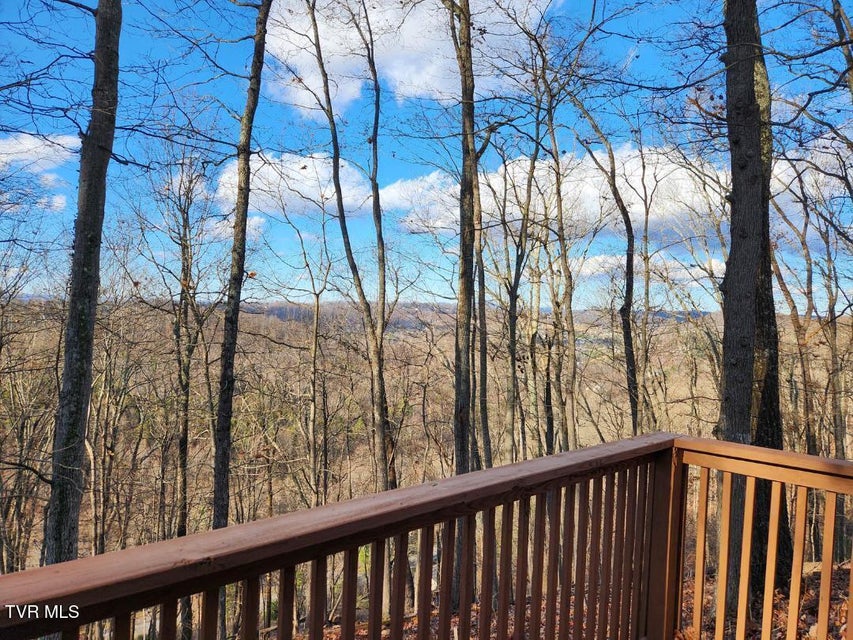 Photo #4: 524 Haven Drive