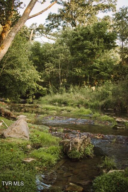 Photo #18: 21405 Parks Mill Road