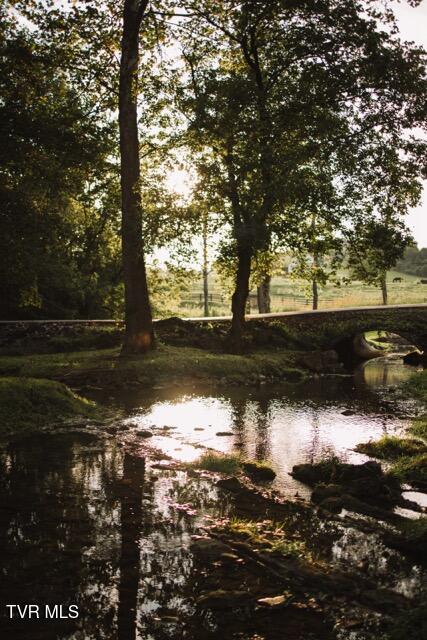 Photo #19: 21405 Parks Mill Road