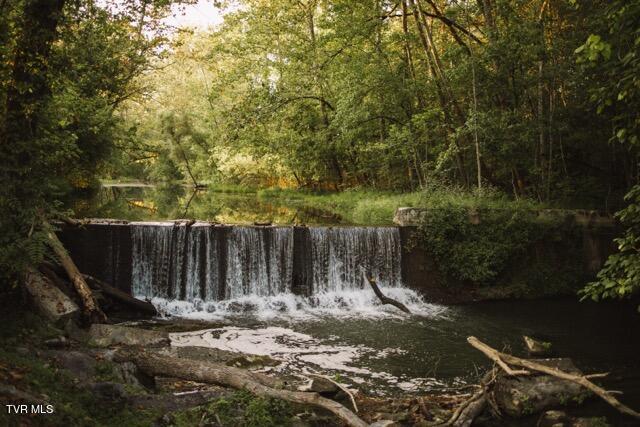 Photo #20: 21405 Parks Mill Road