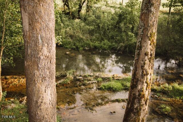 Photo #73: 21405 Parks Mill Road