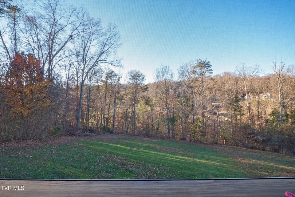 Photo #45: 305 Pactolus Road