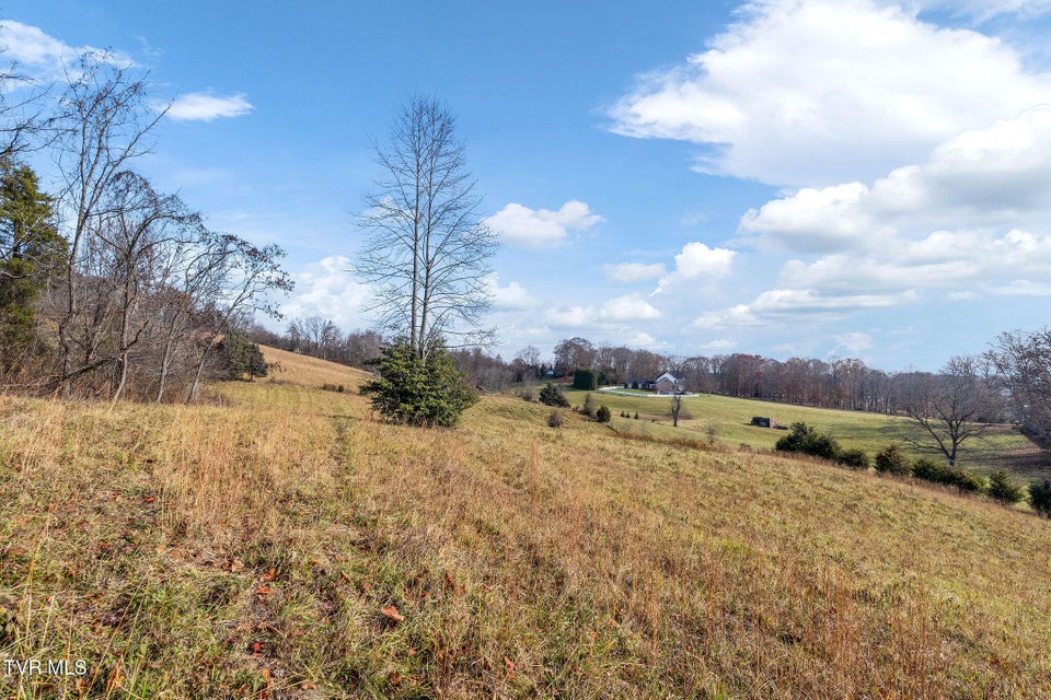 Photo #8: Tbd Birds Eye View Lot 1 