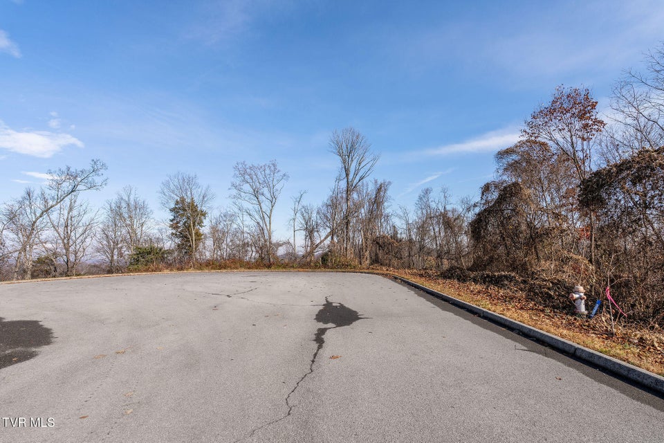 Photo #9: Tbd Birds Eye View Lot 1 