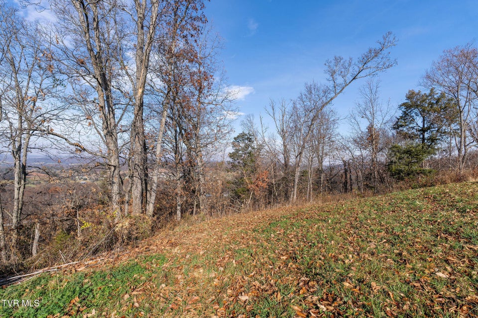 Photo #10: Tbd Birds Eye View Lot 1 