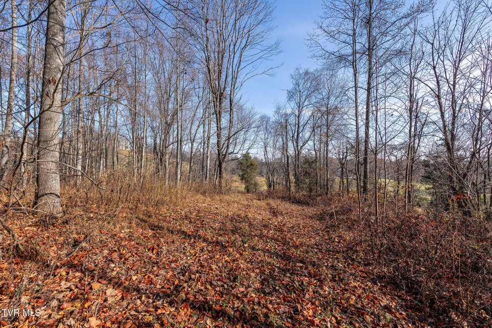 Photo #11: Tbd Birds Eye View Lot 1 