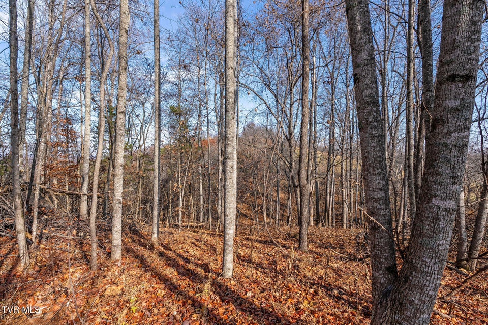 Photo #12: Tbd Birds Eye View Lot 1 