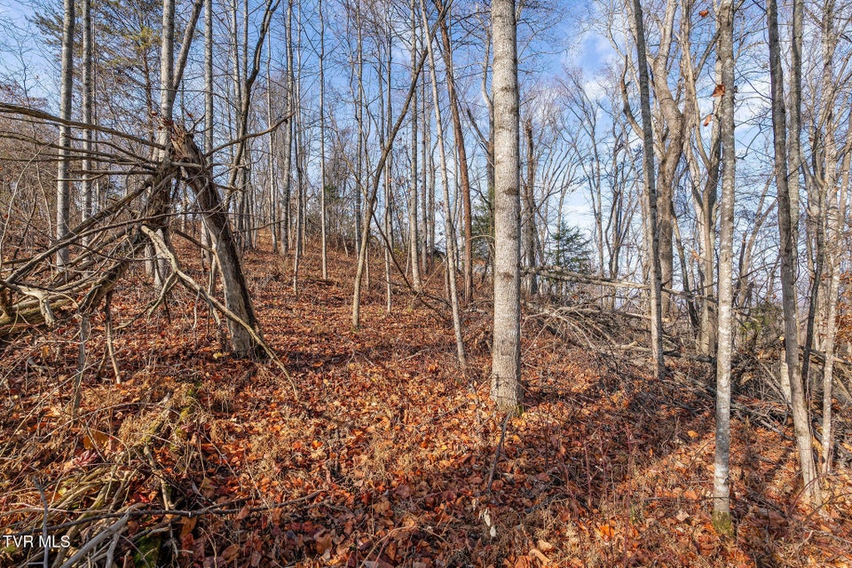 Photo #13: Tbd Birds Eye View Lot 1 