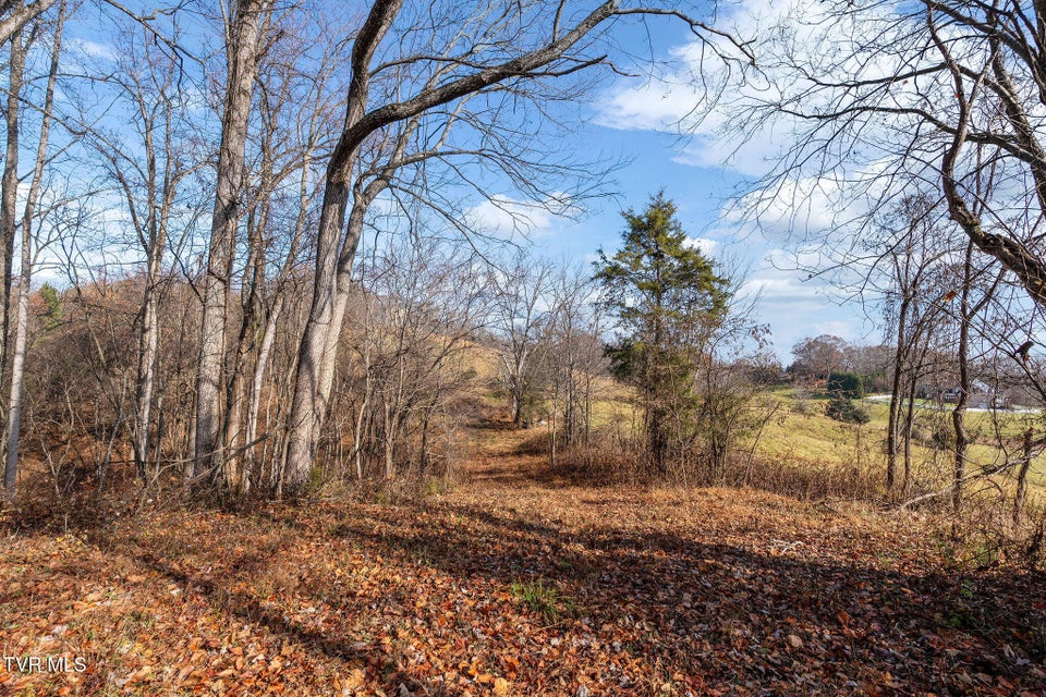Photo #14: Tbd Birds Eye View Lot 1 