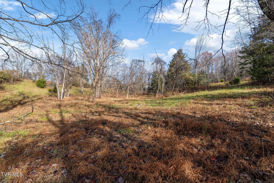 Photo #15: Tbd Birds Eye View Lot 1 