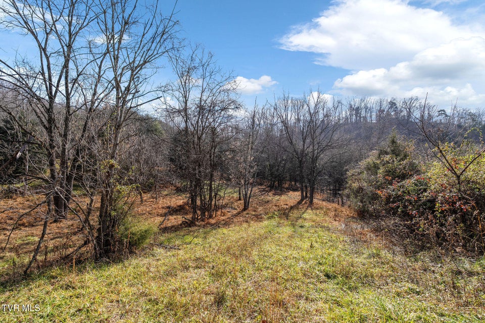 Photo #16: Tbd Birds Eye View Lot 1 