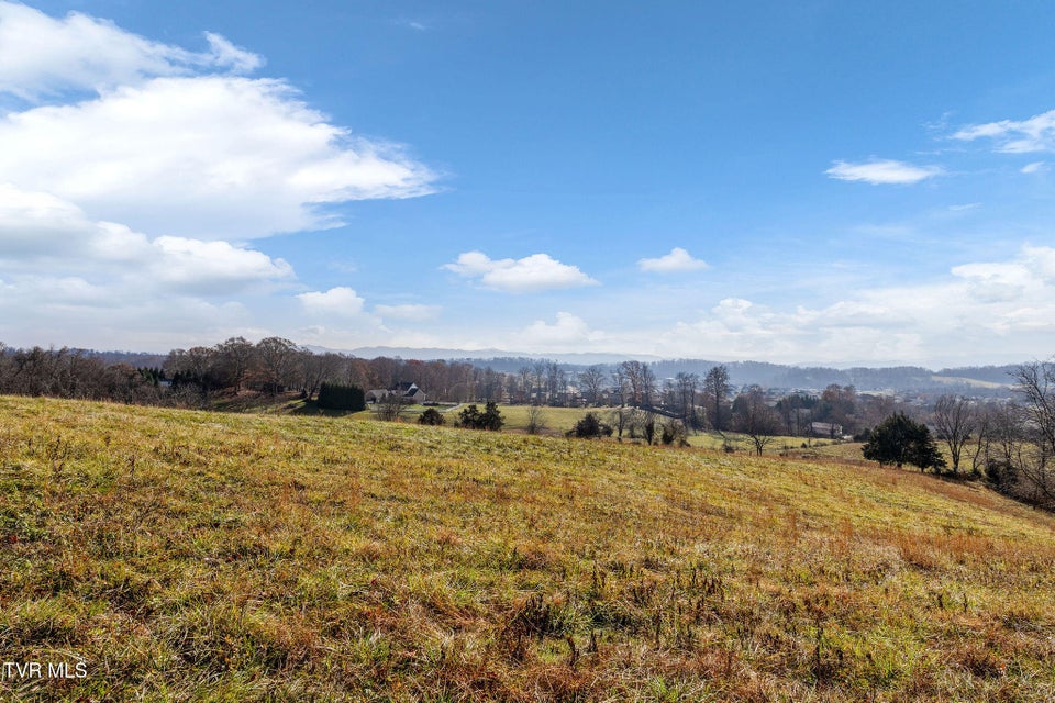 Photo #8: Tbd Skyline Road Lot 2 