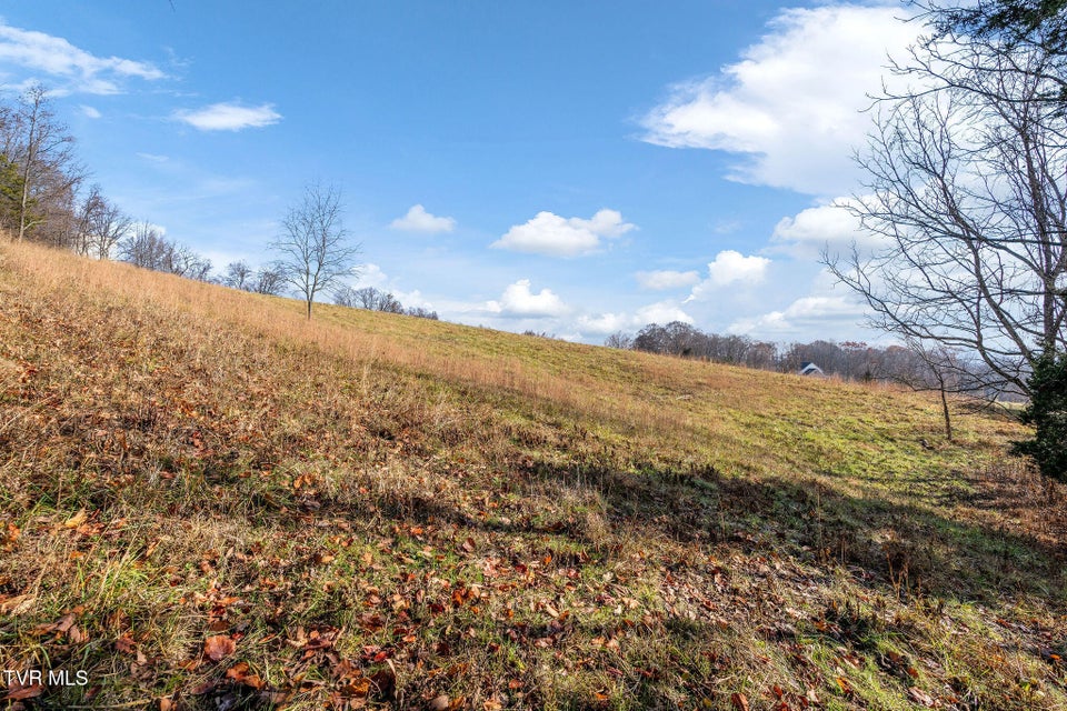 Photo #9: Tbd Skyline Road Lot 2 