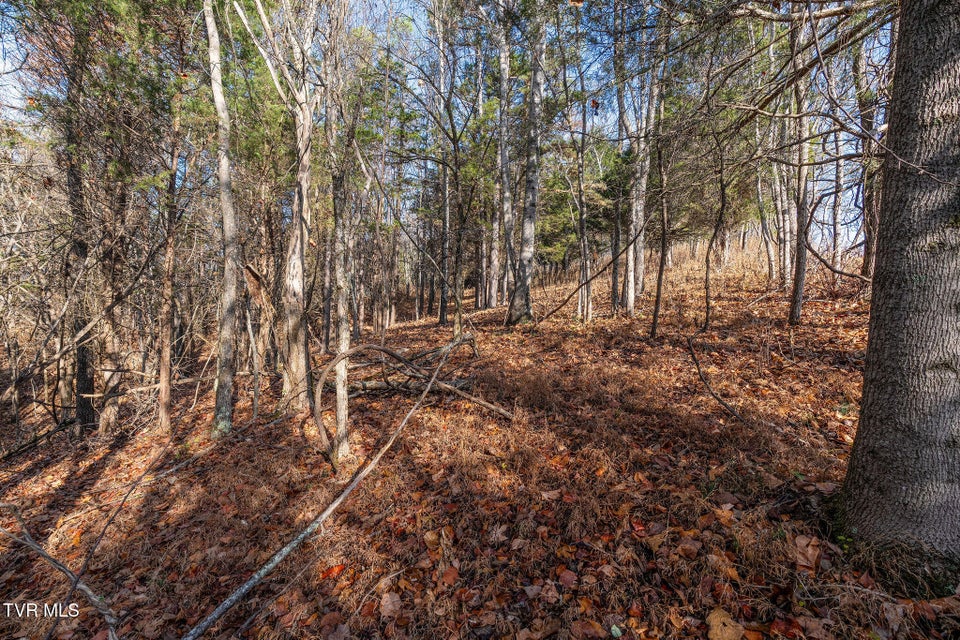 Photo #10: Tbd Skyline Road Lot 2 