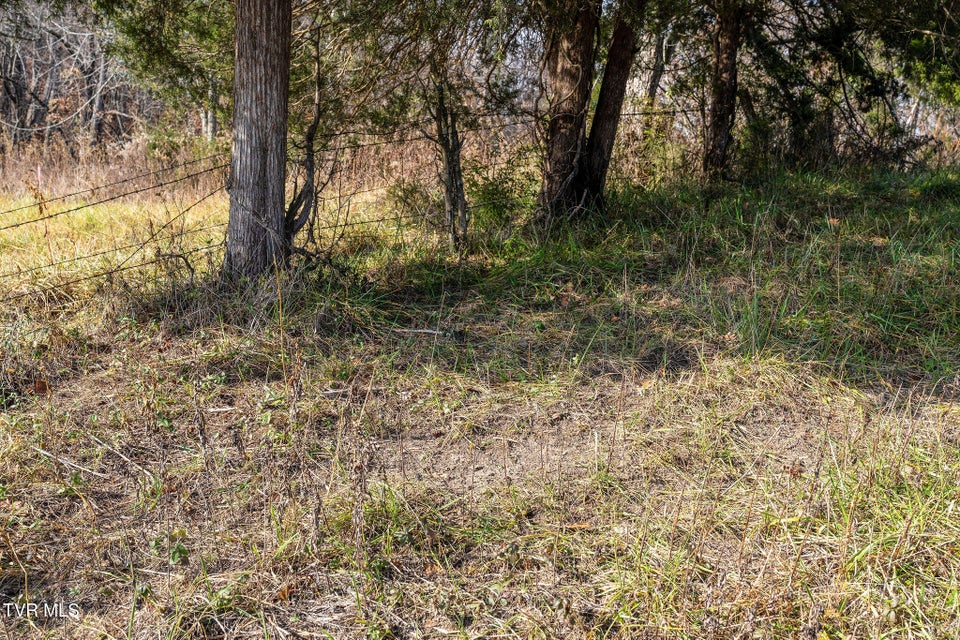 Photo #12: Tbd Skyline Road Lot 2 