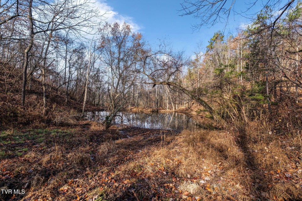 Photo #17: Tbd Skyline Road Lot 2 