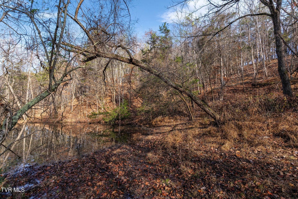 Photo #18: Tbd Skyline Road Lot 2 