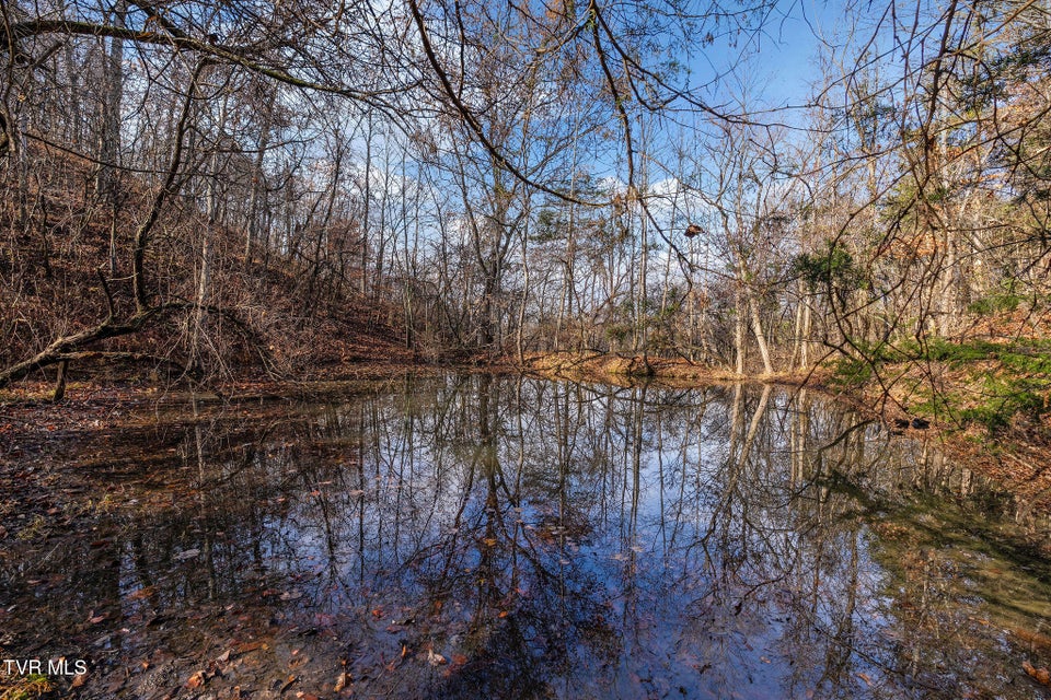 Photo #19: Tbd Skyline Road Lot 2 