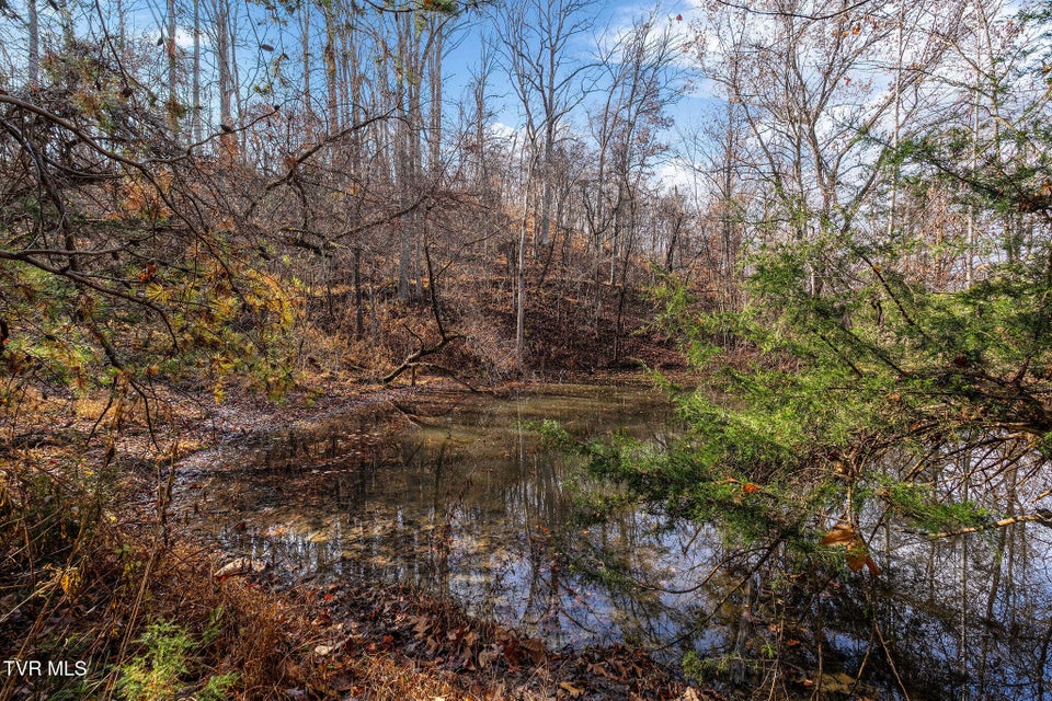 Photo #20: Tbd Skyline Road Lot 2 