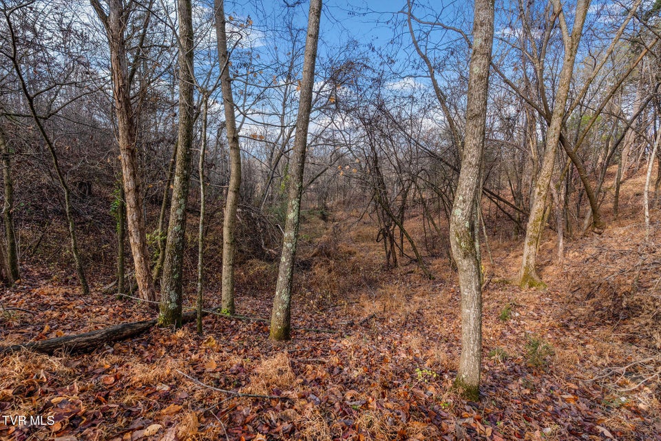 Photo #21: Tbd Skyline Road Lot 2 