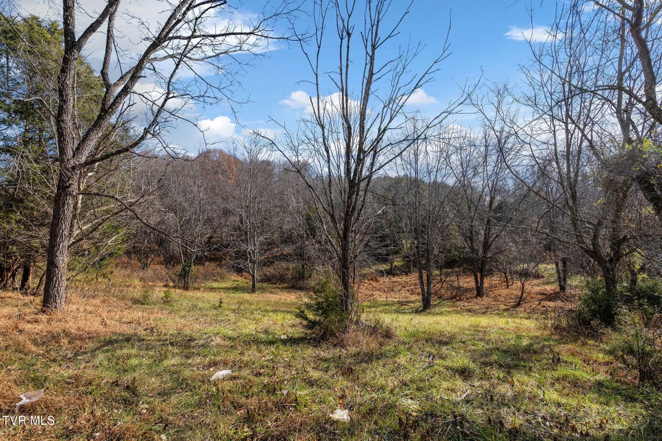 Photo #22: Tbd Skyline Road Lot 2 