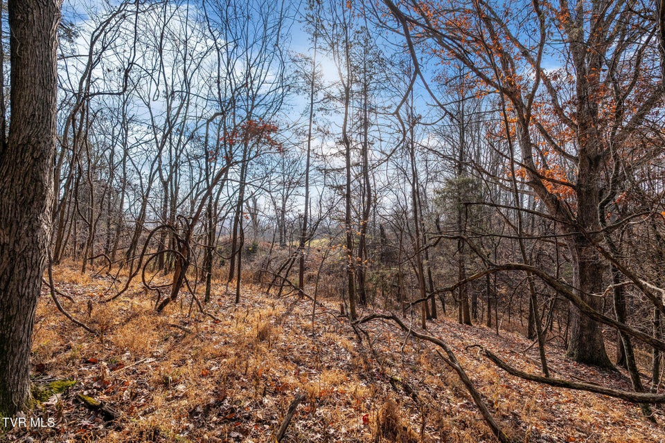 Photo #15: Tbd Skyline Road Lot 3 