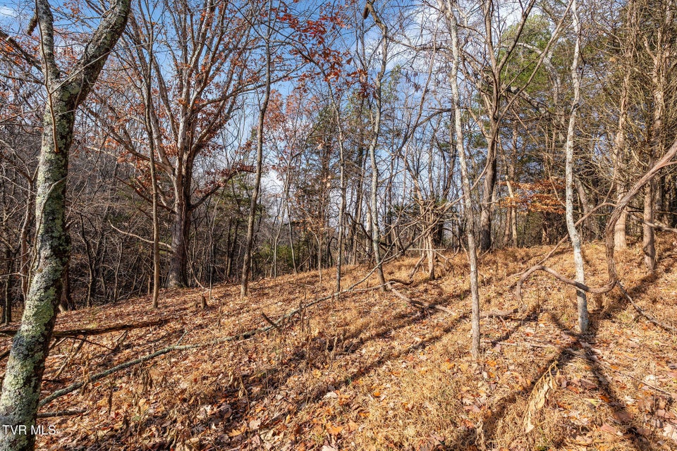 Photo #16: Tbd Skyline Road Lot 3 