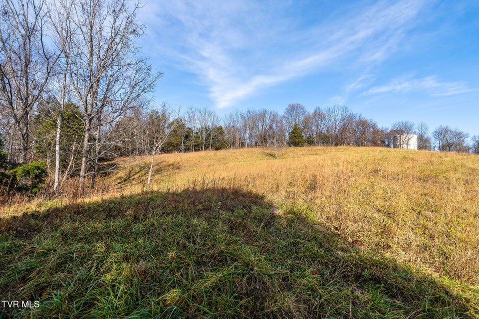 Photo #17: Tbd Skyline Road Lot 3 