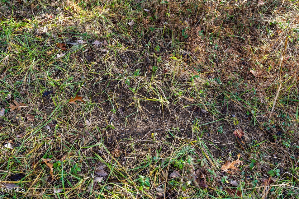 Photo #22: Tbd Skyline Road Lot 3 