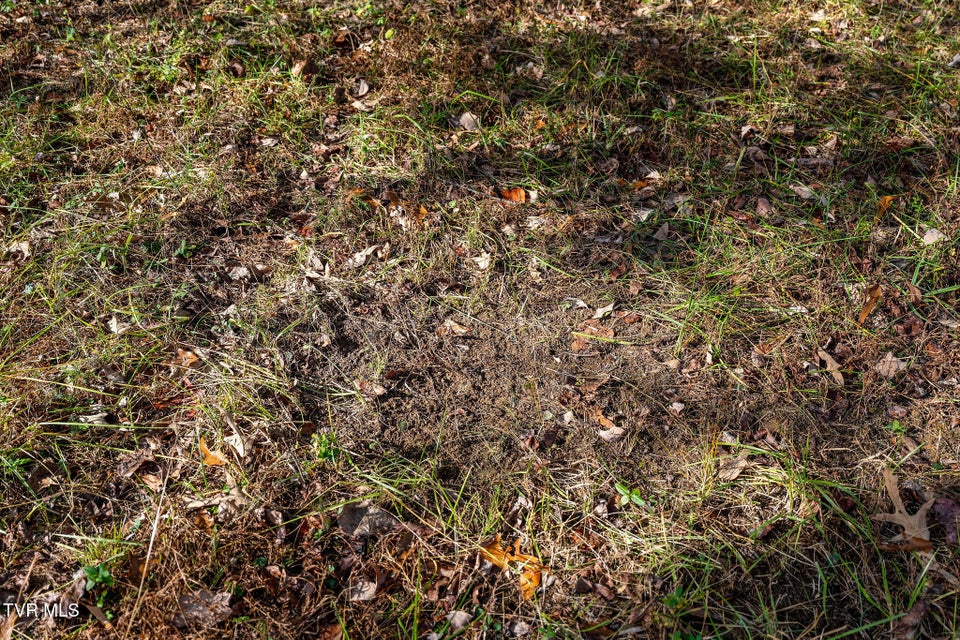 Photo #23: Tbd Skyline Road Lot 3 