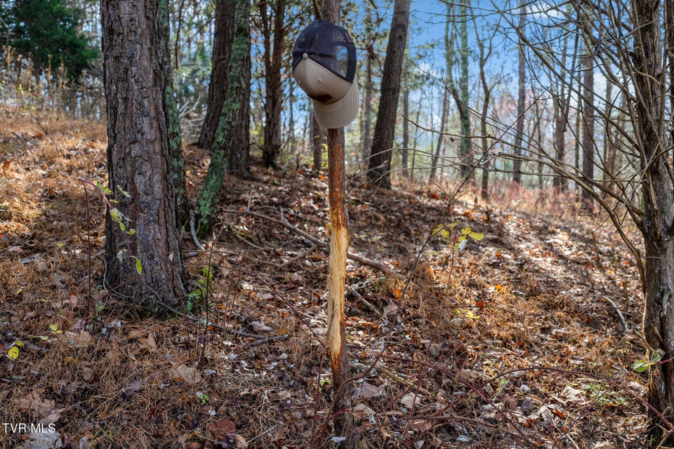 Photo #26: Tbd Skyline Road Lot 3 