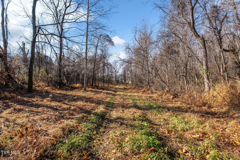 Photo #16: Tbd Highway 81 Lot 4 