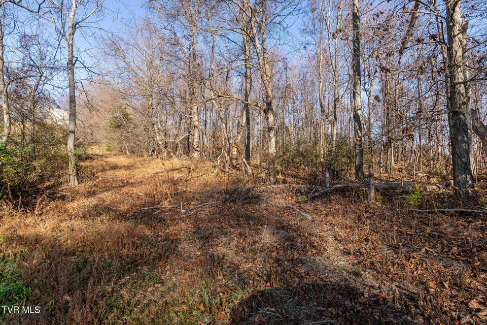 Photo #17: Tbd Highway 81 Lot 4 