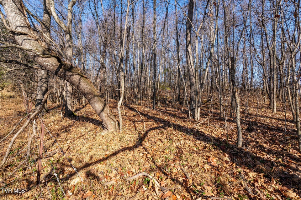 Photo #18: Tbd Highway 81 Lot 4 