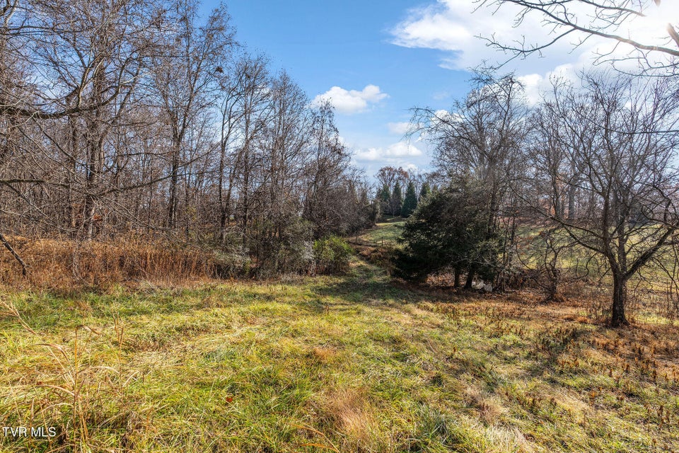 Photo #19: Tbd Highway 81 Lot 4 