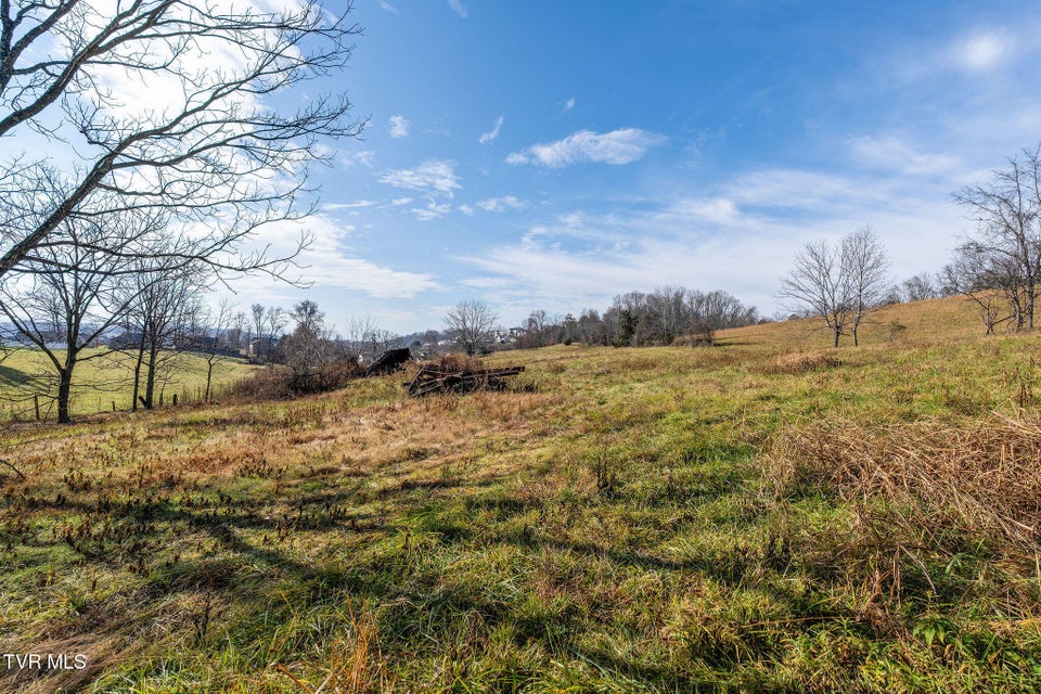 Photo #20: Tbd Highway 81 Lot 4 