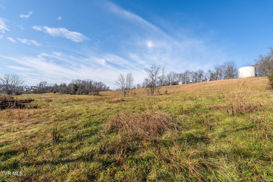 Photo #21: Tbd Highway 81 Lot 4 