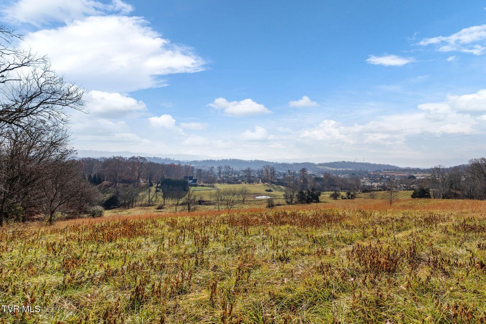 Photo #22: Tbd Highway 81 Lot 4 