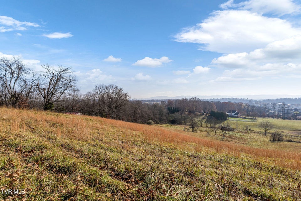 Photo #23: Tbd Highway 81 Lot 4 