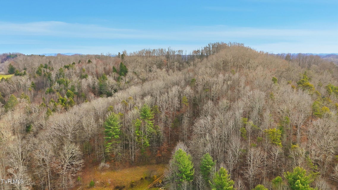 Photo #7: Tbd River Lane 