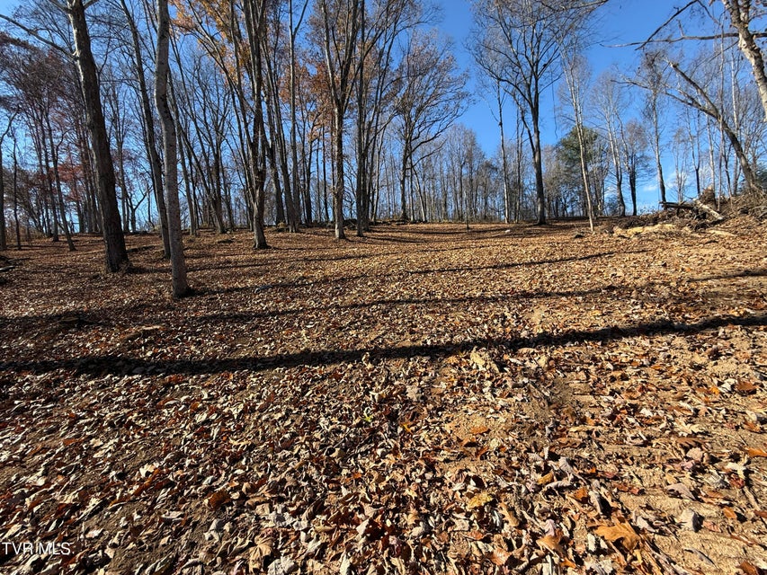 Photo #4: 0 Milligan Highway