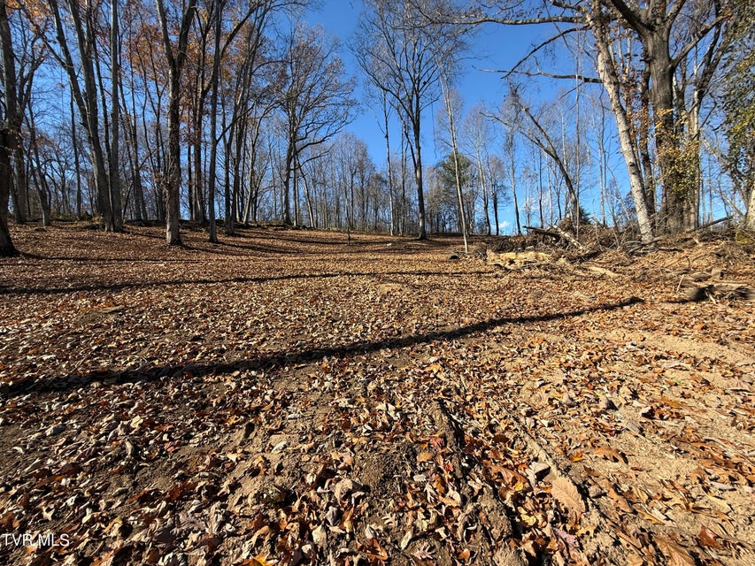 Photo #5: 0 Milligan Highway