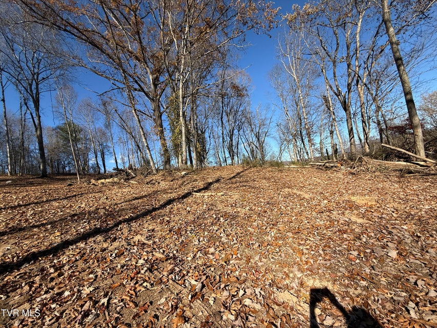 Photo #6: 0 Milligan Highway