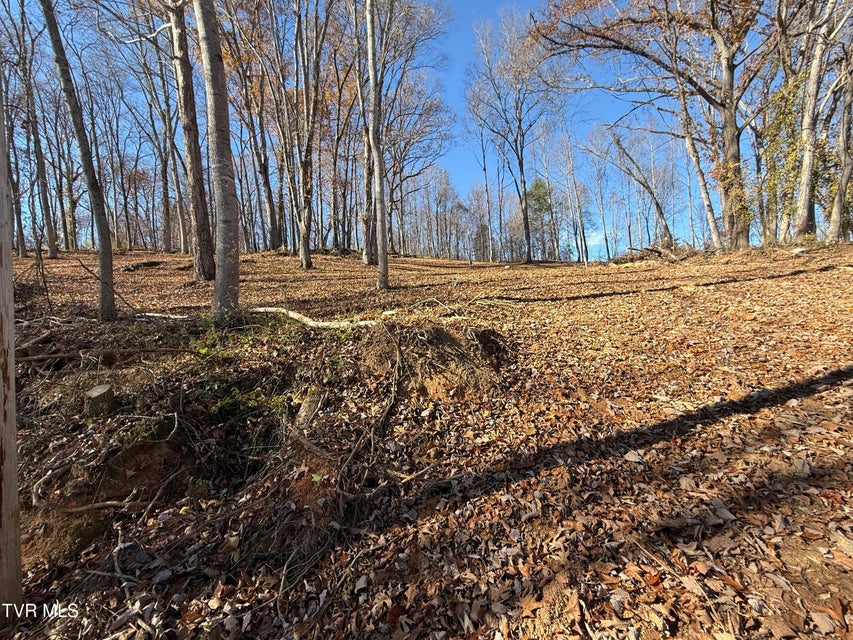 Photo #7: 0 Milligan Highway