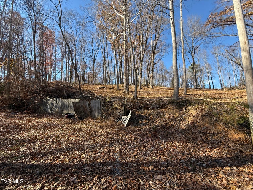 Photo #8: 0 Milligan Highway