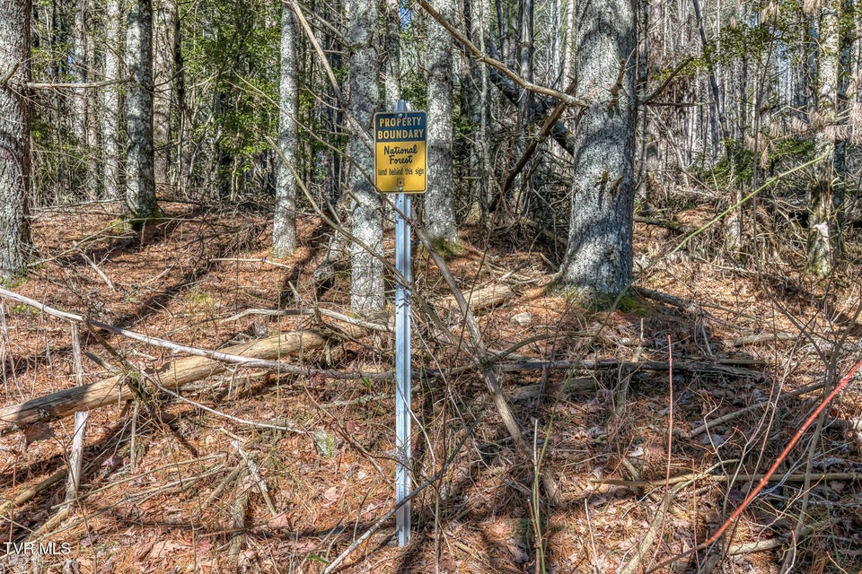 Photo #5: 240 Phil Arnett Road