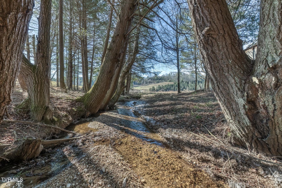 Photo #10: 240 Phil Arnett Road